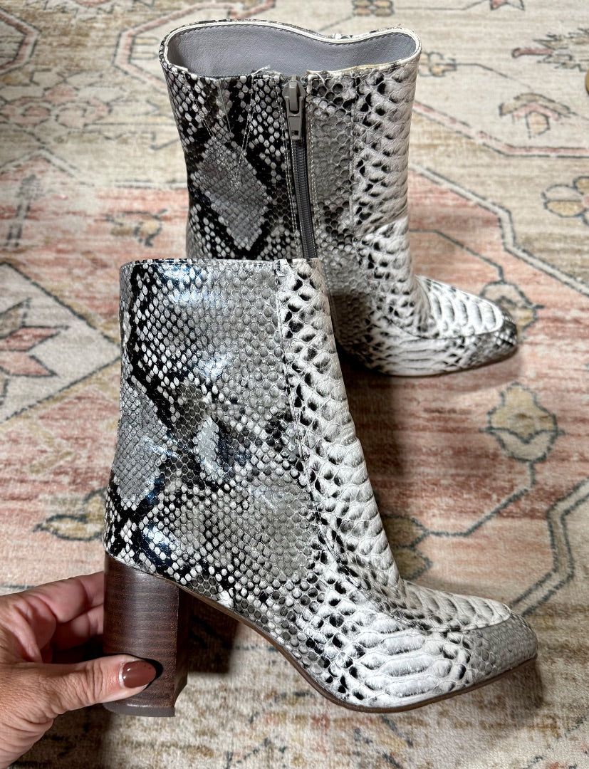 Snake Pierre Dumas Shoes, 5.5