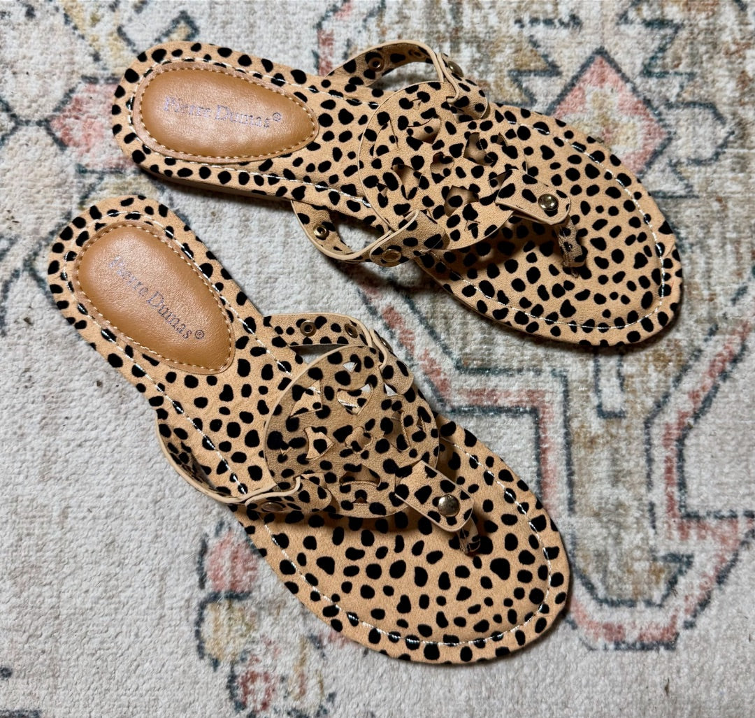 Multi Pierre dumas Shoes, 5.5