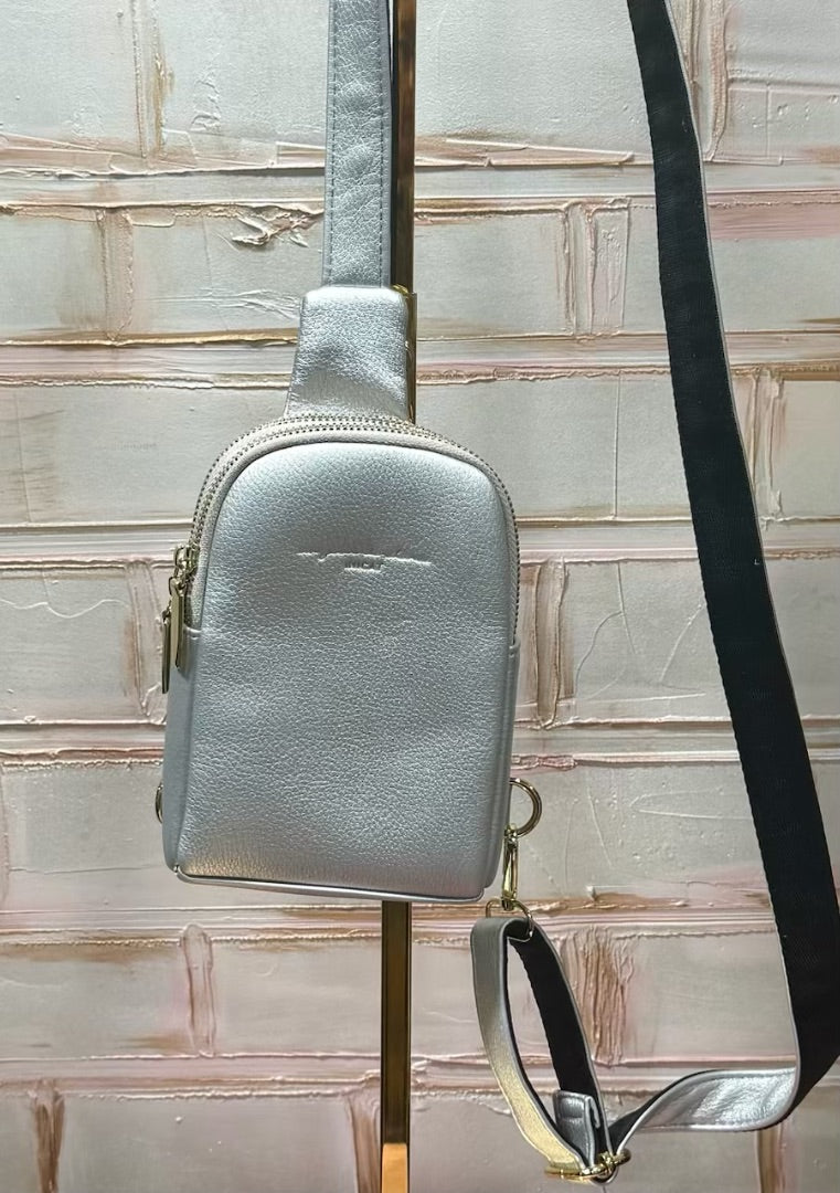 Silver  Bag