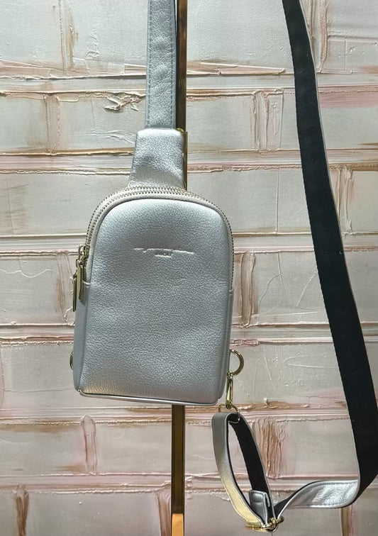Silver  Bag