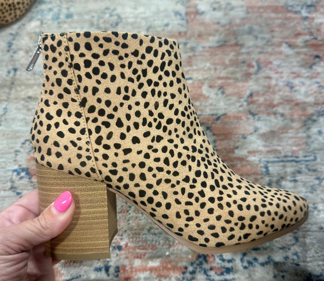 Multi Unbranded Shoes, 5.5